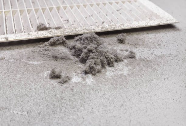 Best Affordable HVAC Duct Cleaning  in Howell, MI