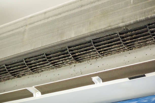 Best Air Vent Cleaning Services  in Howell, MI
